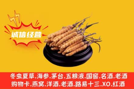 蚌埠五河县回收冬虫夏草